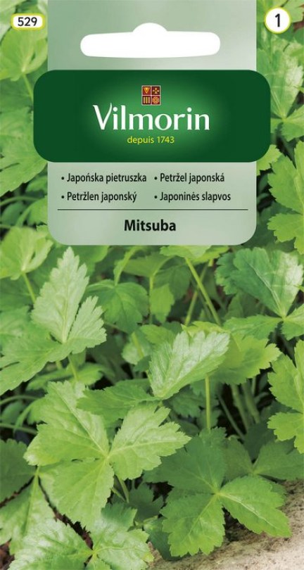 Petržlen japonský