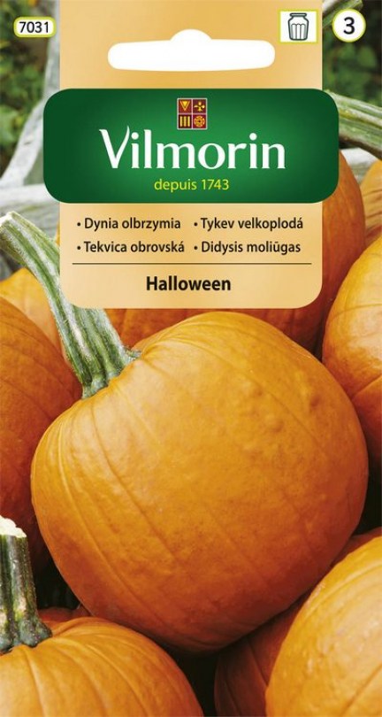 Tekvica obrovská