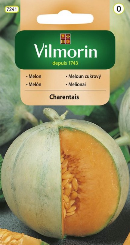 Melón