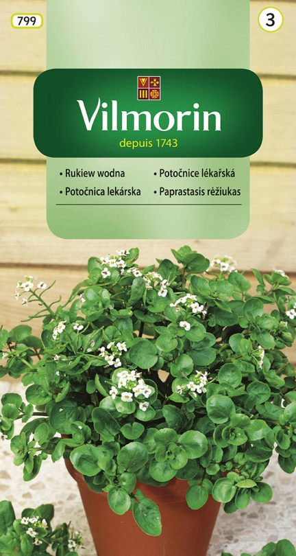 Potočnica lekárska