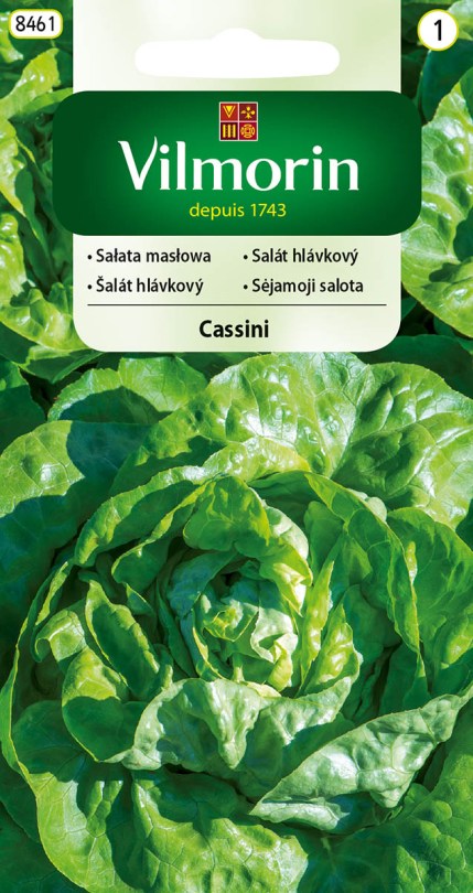 Šalát listový