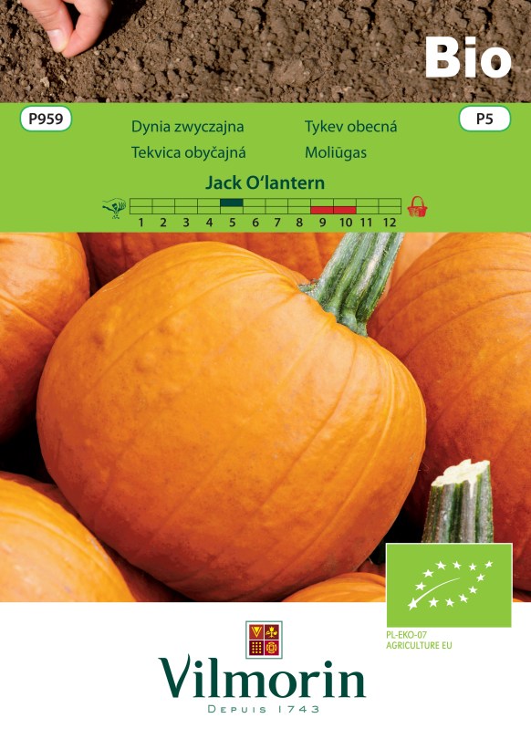 Tekvica obyčajná